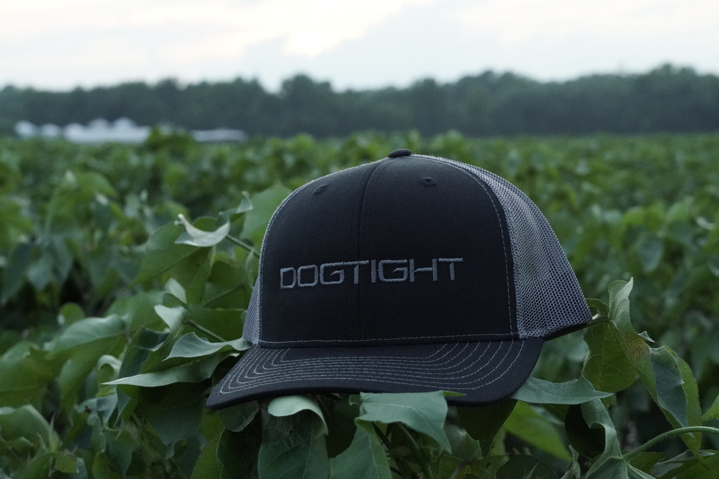 DOGTIGHT- Black/Charcoal